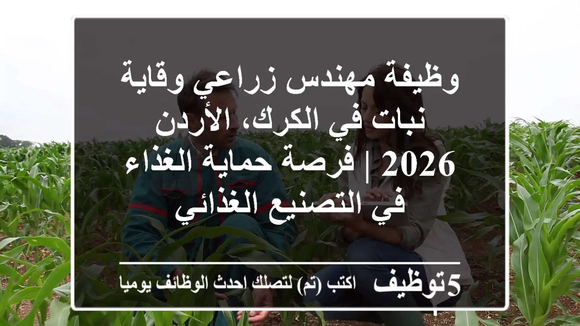 وظيفة مهندس زراعي وقاية نبات في الكرك، الأردن 2026 | فرصة حماية الغذاء في التصنيع الغذائي